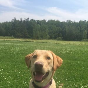 Meet your Posher, Jade